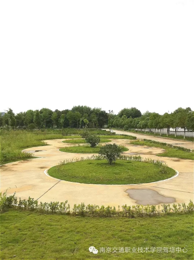 双十一重磅来袭！！！